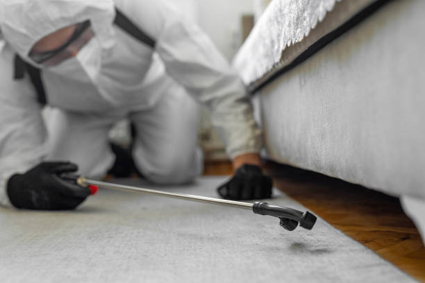 Professional Bed Bug Control technician working in Springville, VA