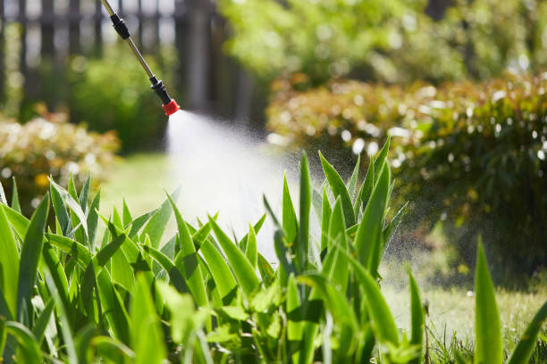 24/7 Emergency Bed Bug Control experts in Springville, VA