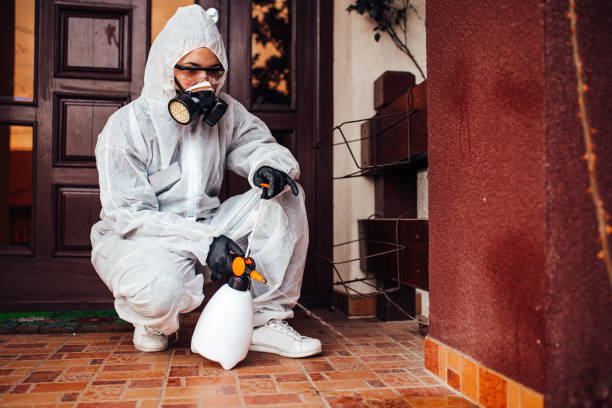 Reliable Bed Bug Control contractor in Springville, VA by Nex Pest Control